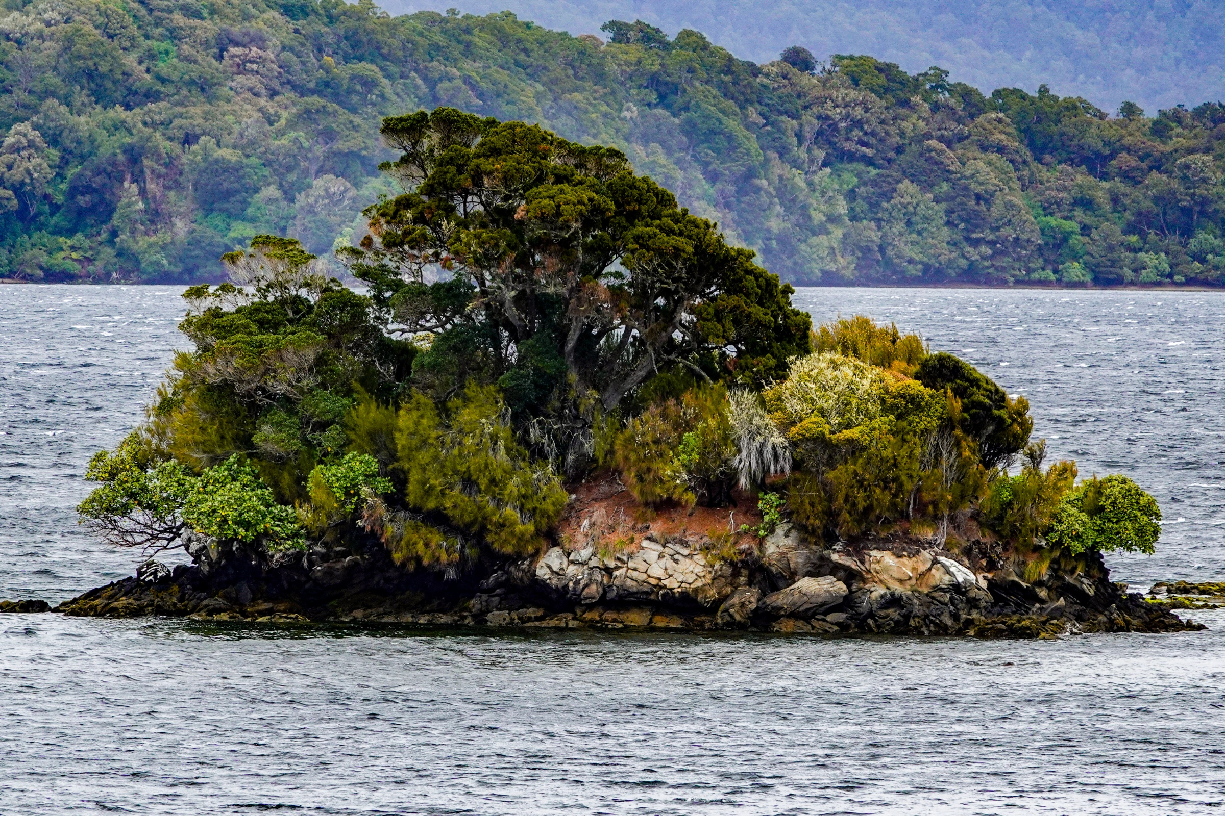 Paterson_Inlet,_Stewart_Island[1].webp